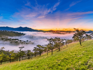 Tour du lịch Phan Thiết – Đà Lạt 4 ngày 3 đêm