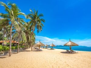 Nha Trang - Biển Nhũ Tiên - Chùa Long Sơn - Làng gốm Bàu Trúc - Làng yến Mai Sinh - Khám phá cao tốc mới